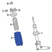 Coil Spring - Front