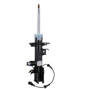 Suspension Strut - Left, Front