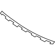 Grille Molding Insert - Front