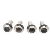 Catalytic Converter Bolt Screw - M8 X 25MM 1.0L