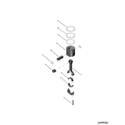 3645564 Image1