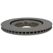 Disc Brake Rotor - Rear