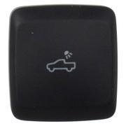 Lighting Switch Cargo Area Light