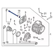 Axle Differential Output Shaft - Rear