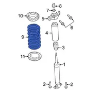 Coil Spring - Right, Rear