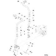 4372974 Image1