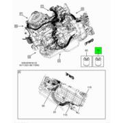 Figure 1KWYF