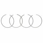 Ring Retaining (AT)
