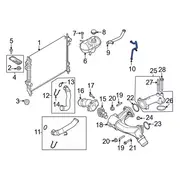Engine Coolant Overflow Hose - 5.2L