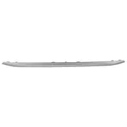 Grille Molding - Front