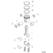 4923747 Image1