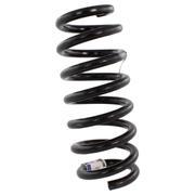 Coil Spring - Right, Rear