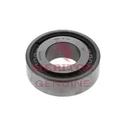 Cylindrical Roller Bearing, 120 mm Outer Diameter