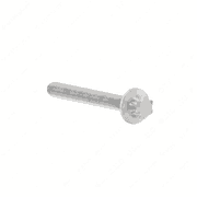 Screw