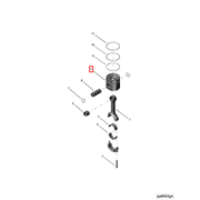 3076811 Image1