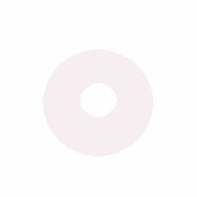Pivot Shim