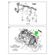 Figure 1HGLW
