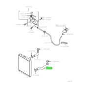 HOSE,RADIATOR,LWR 1