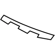 Grille Molding Insert - Front