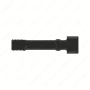 Screw