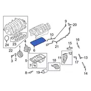 Engine Oil Pan Gasket - 5.0L