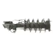 Coil Spring - Front