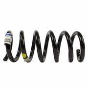 Coil Spring - Left, Rear