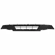 Bumper Grille - Front