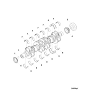 4955864 Image1