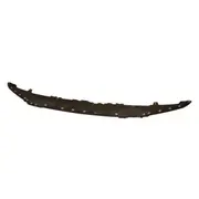 Valance Panel - Front (Phantom/Raptor)