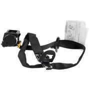 Seat Belt Lap and Shoulder - Right, Rear