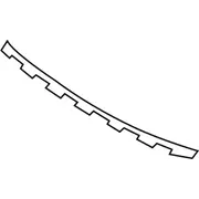 Grille Molding Insert - Front
