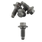 Door Hinge Bolt