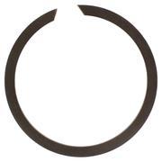 Ring BeaRing Retaining (AT)