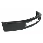Bumper Face Bar - Front