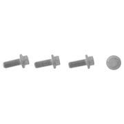 Door Hinge Bolt