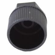 AIR CONDITIONING (A/C). Service Valve. Service Valve. Cap.