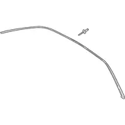 Roof Molding Drip Rail Finish - Right