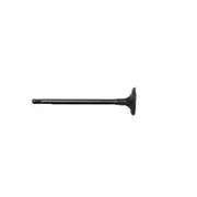 Engine Intake Valve - Inlet 1.0L