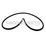SEAL-WEATHERSTRIP REAR