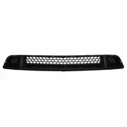 Bumper Grille - Front, Lower 5.0L