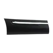 Door Molding Finish Panel - Right, Lower (DX)
