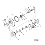 3592071 Image1