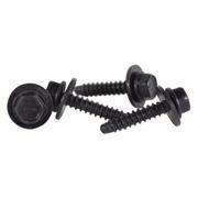 Screw And Washer - 4.2 x 20MM