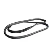 Door Seal Weatherstrip - Right, Front