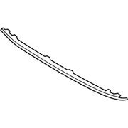 Grille Molding - Front