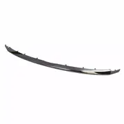 Grille Molding - Front