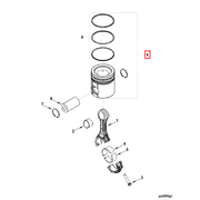 3928674 Image1