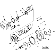 4309431 Image1