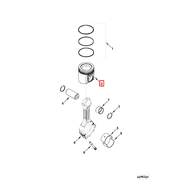 4898076 Image1